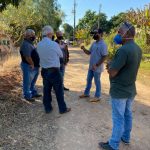 Boas Notícias para a Vila Rural